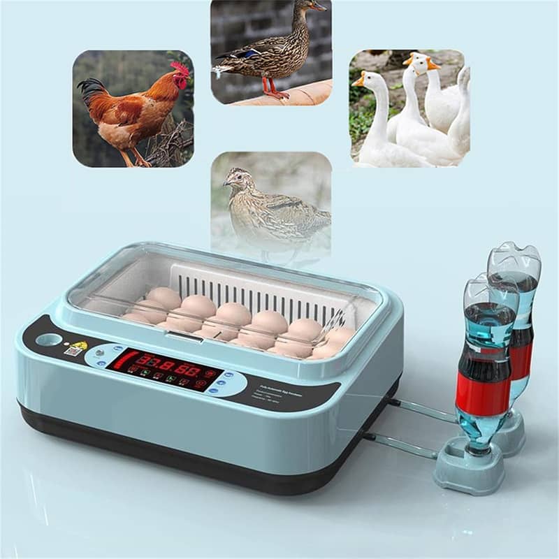 64 Eggs Incubator Intelligent Full Automatic Dual Supply AC-DC

                                                            alt=
