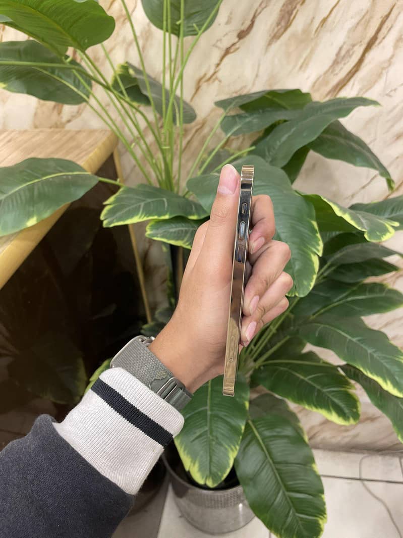 iPhone 12pro

                                                            alt=