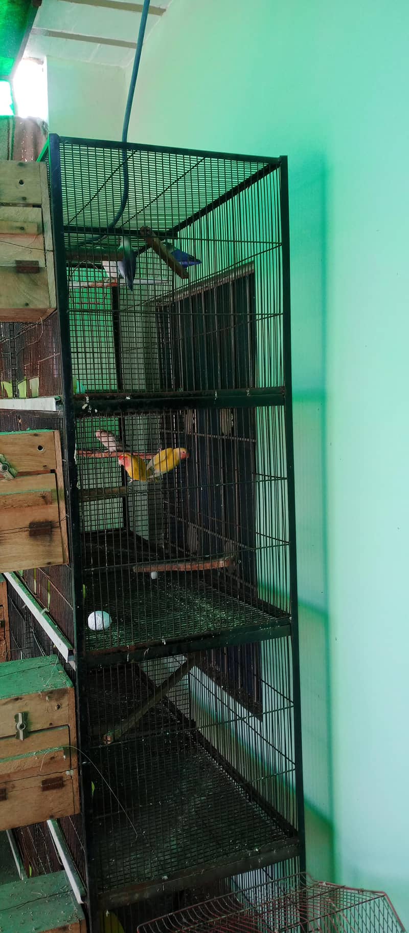 Home bread love birds top quality

                                                            alt=