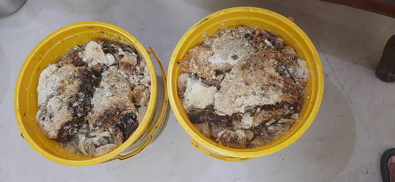 sider wild honey/berseam wild honey

                                                            alt=