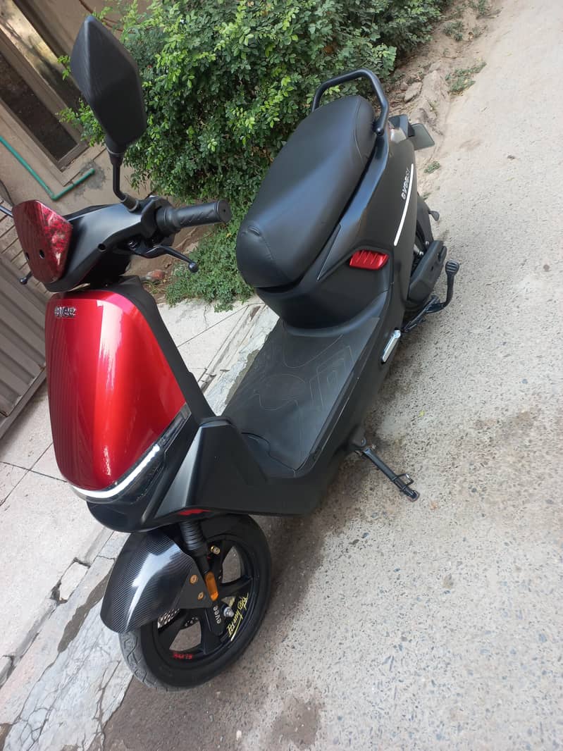 Evee s1

                                                            alt=