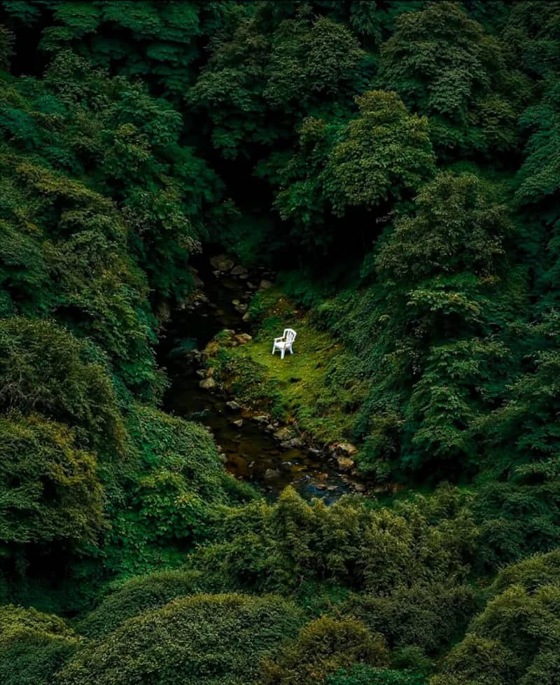 need commission based worker online for property

                                                            alt=