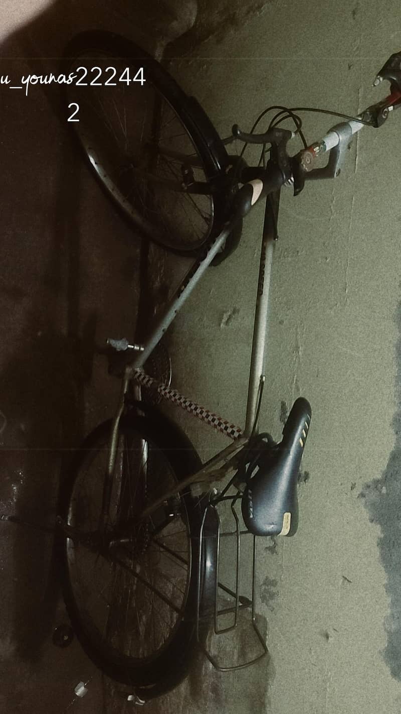 phoenix cycle

                                                            alt=