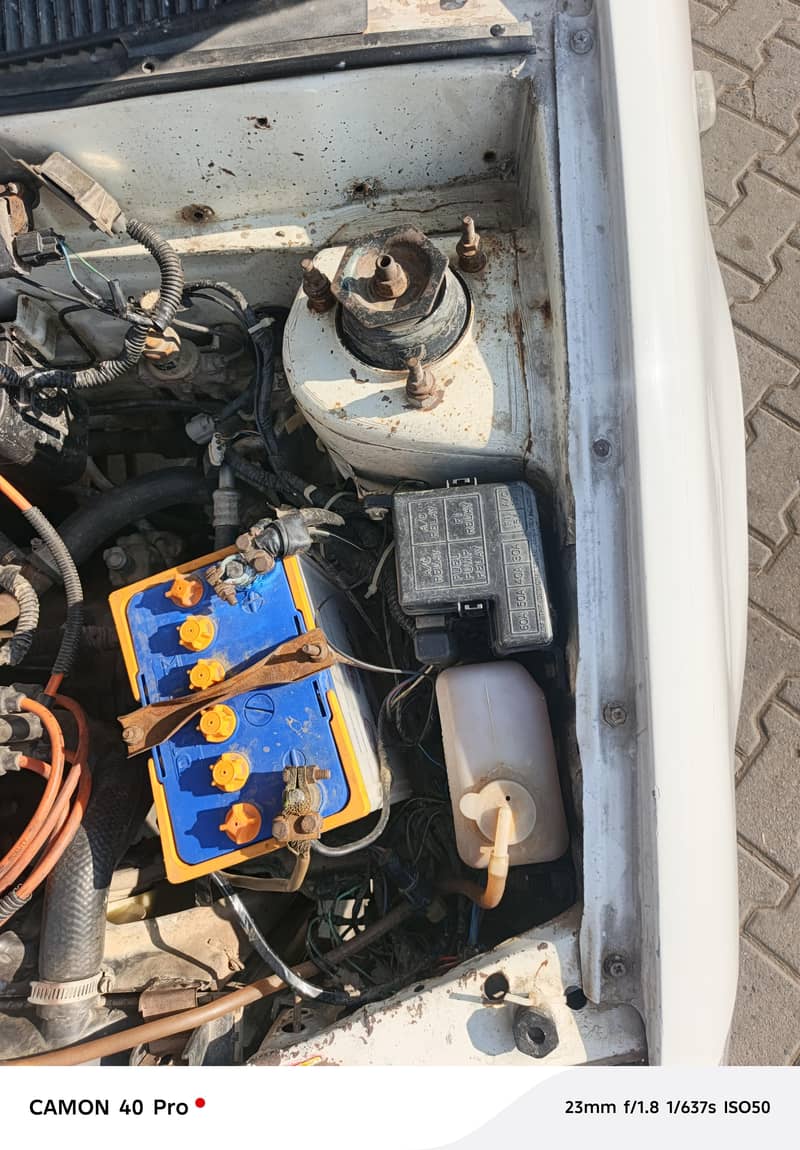 Suzuki cultus

                                                            alt=