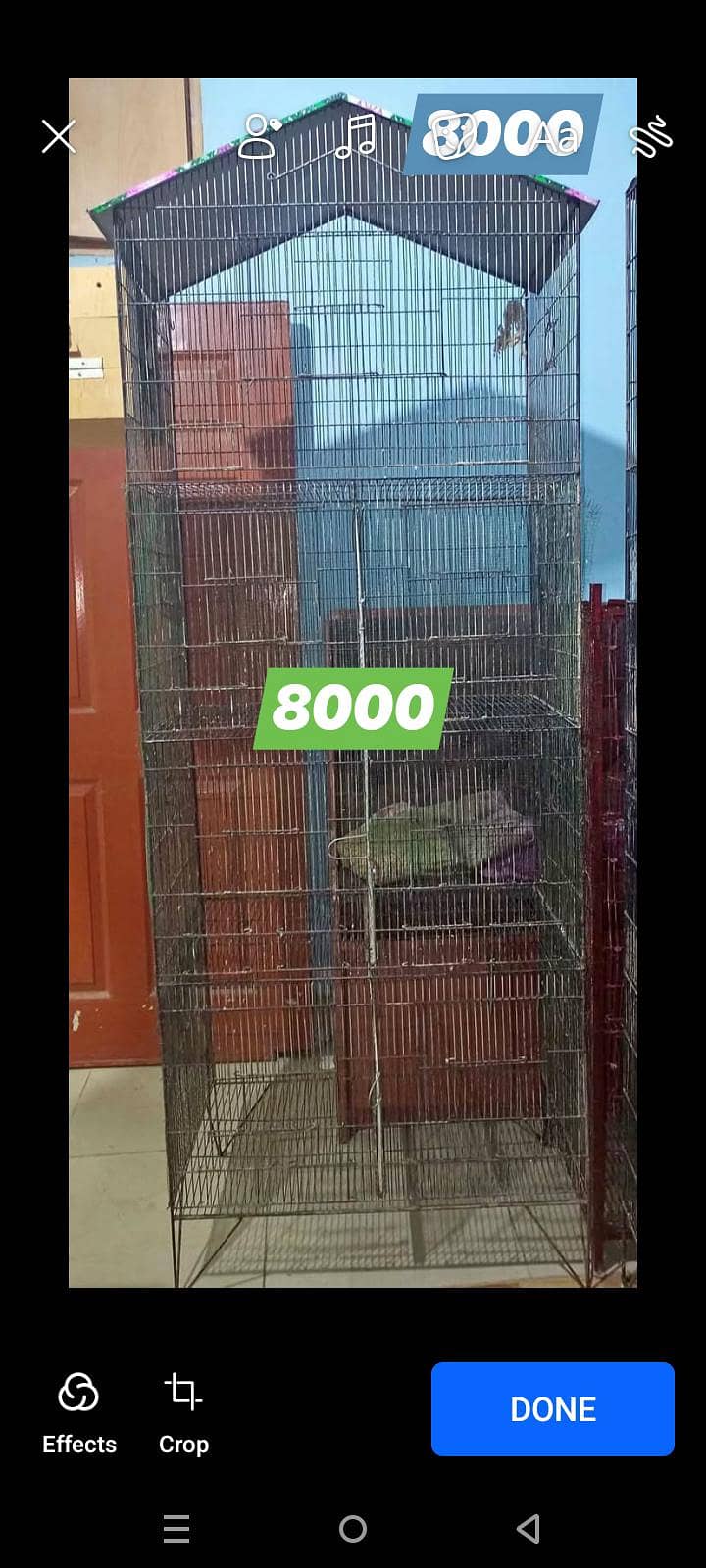 cages

                                                            alt=