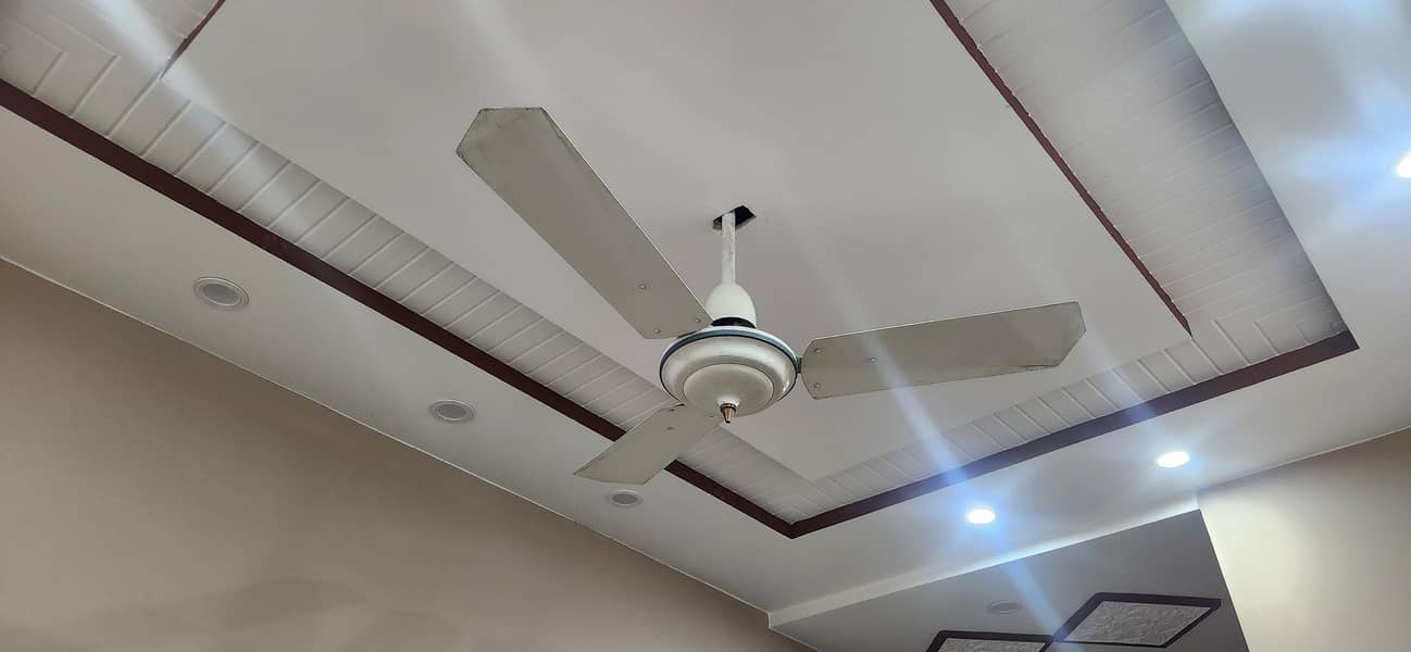 selling fan

                                                            alt=