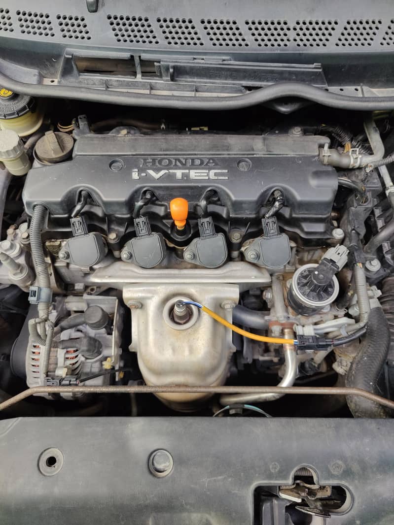 rebon almost genuine

                                                            alt=