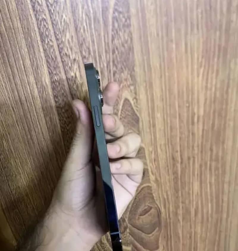 13PRO 256

                                                            alt=