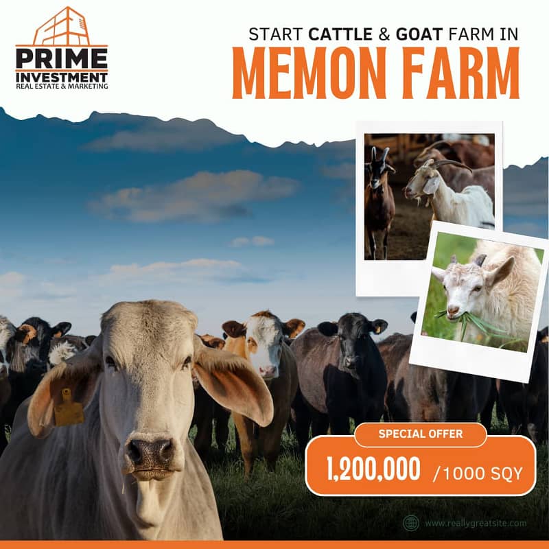 CATTLE FARM LAND

                                                            alt=