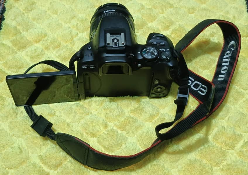 Canon EOS Rebel Sl2

                                                            alt=