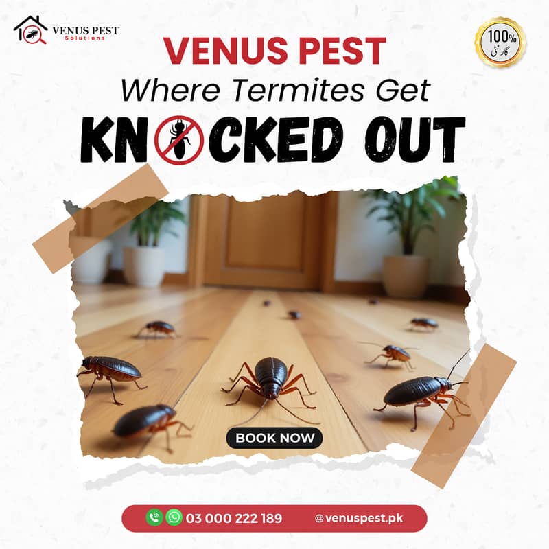 Fumigation/termite control/Demak control/Dengue Spray/Pest Control

                                                            alt=