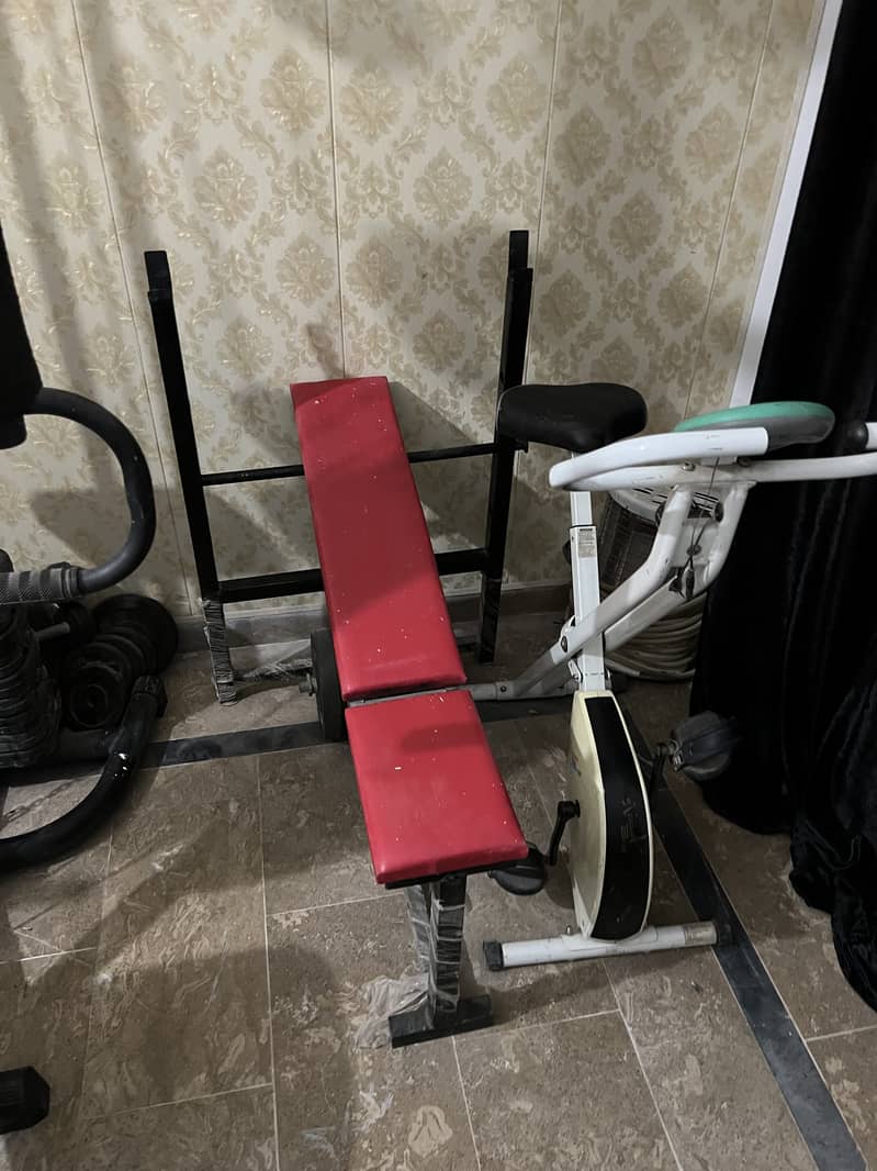 All in One Excercise Machine Cycle and Bench Press

                                                            alt=