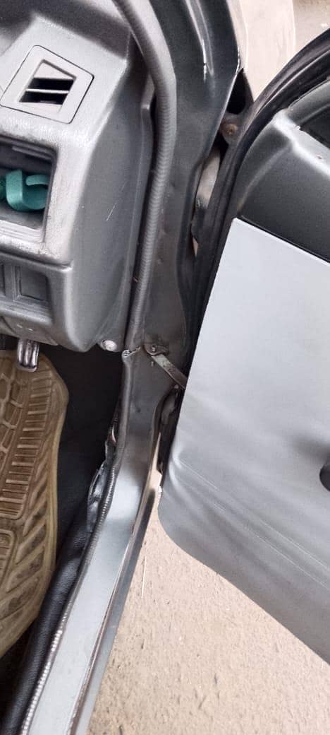 inner and outer totally genie colour in genie seal's

                                                            alt=