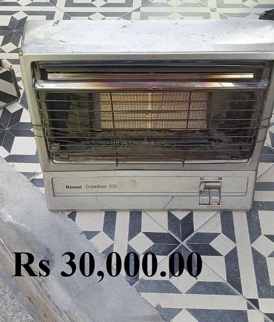 Rinnai Gas Heater

                                                            alt=