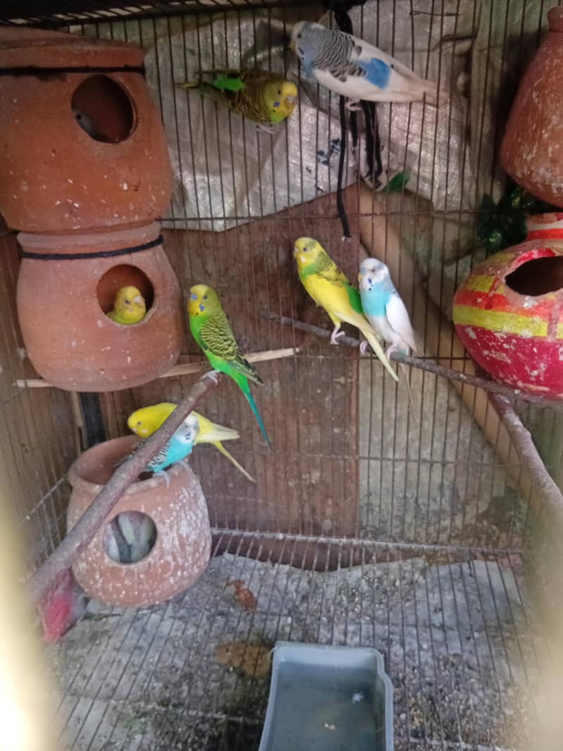 03054670248

                                                            alt=