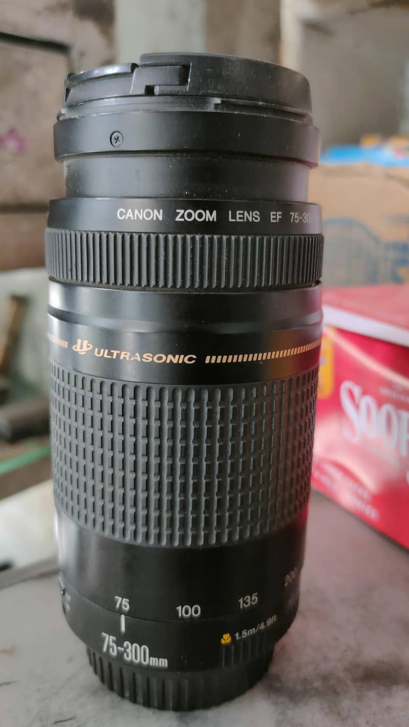 canan Lens 70.300mm 5.6 II

                                                            alt=