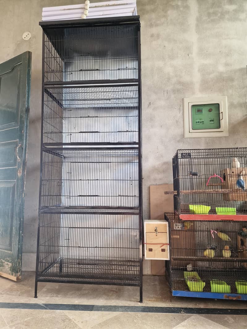 full angle cage ha

                                                            alt=