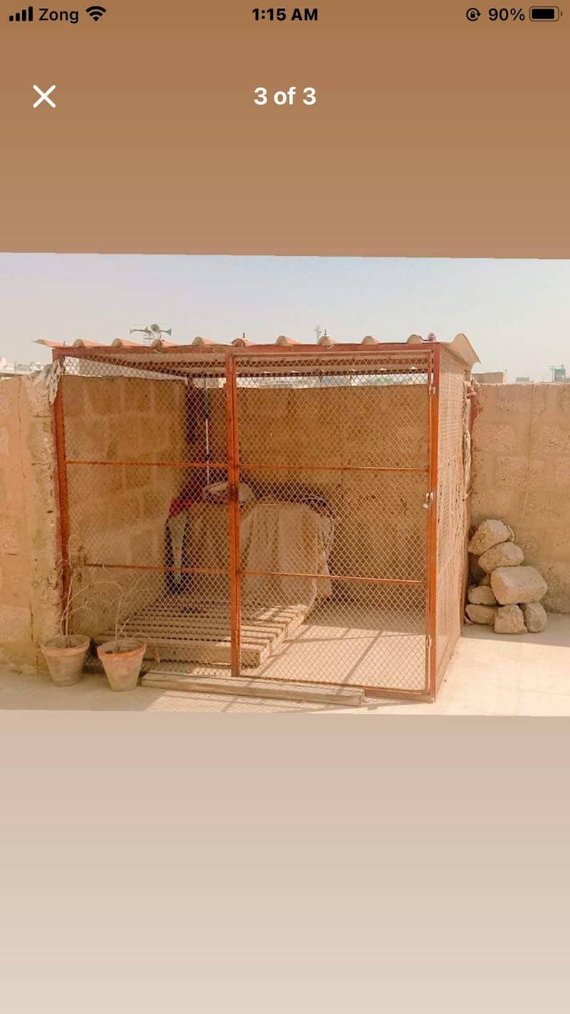 cage for sale

                                                            alt=