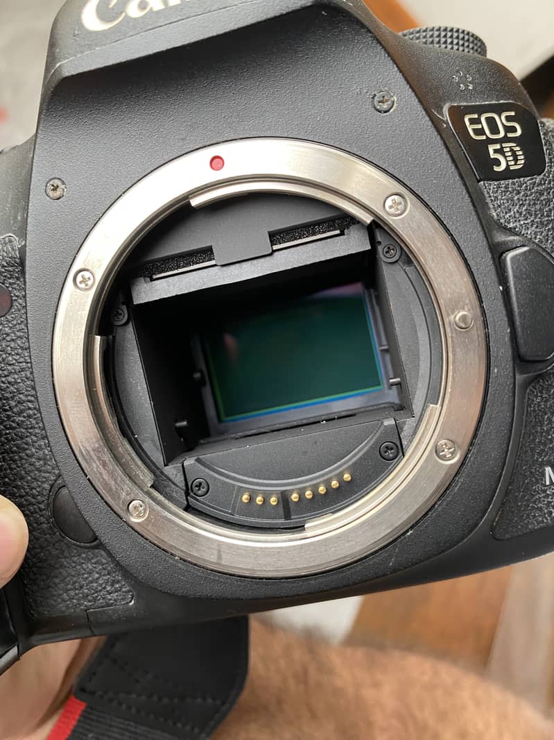 Canon 5D Mark III (body) - Very good condition

                                                            alt=