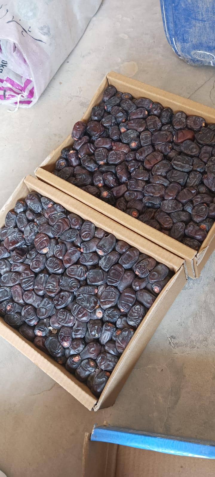 Muzafati khajoor, Muzafati bum dates  offer for ramzan 1000 per kg

                                                            alt=