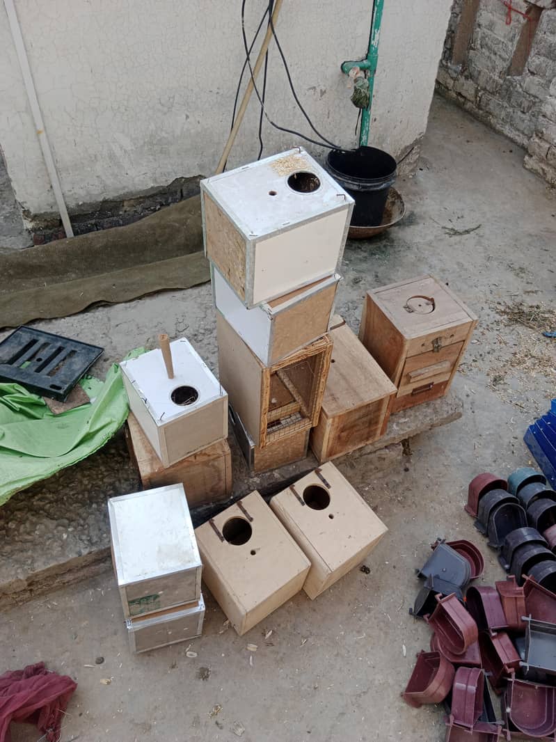 cage with boks

                                                            alt=