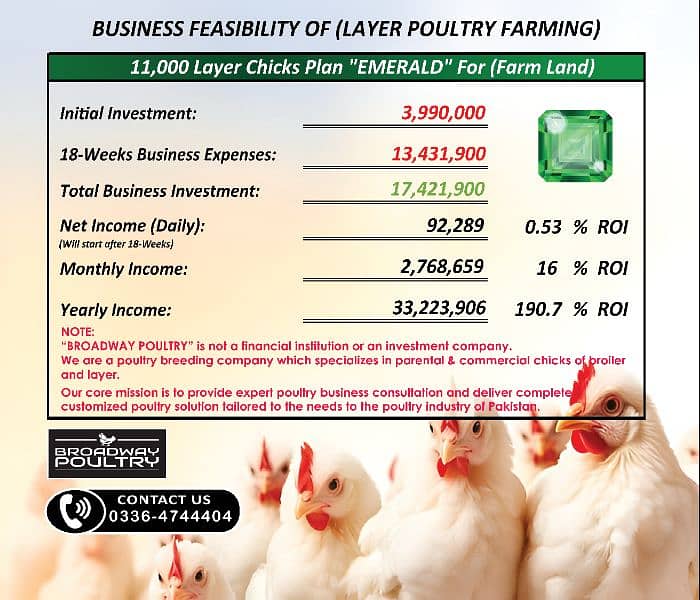 Start Poultry Farming Business | Farm Egg Chick Chicken Broiler Layer

                                                            alt=