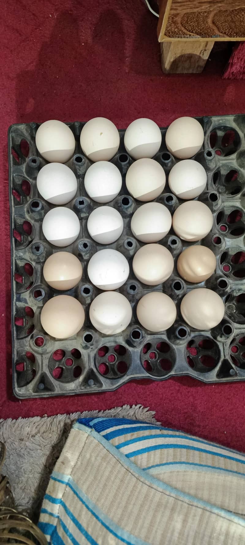 Dasi egg 

                                                            alt=