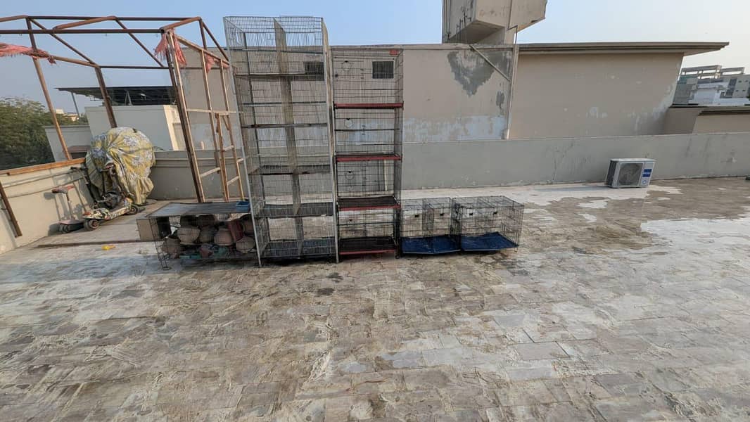 new cages with all trays

                                                            alt=