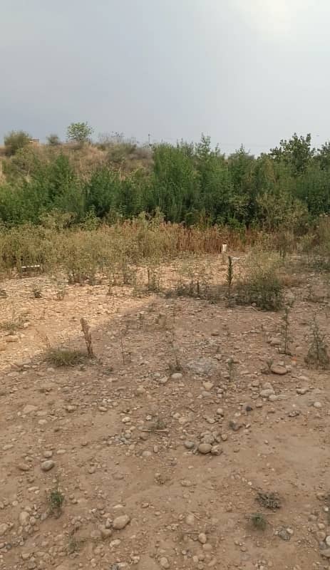 3 Side Open Dead End Corner Plot

                                                            alt=