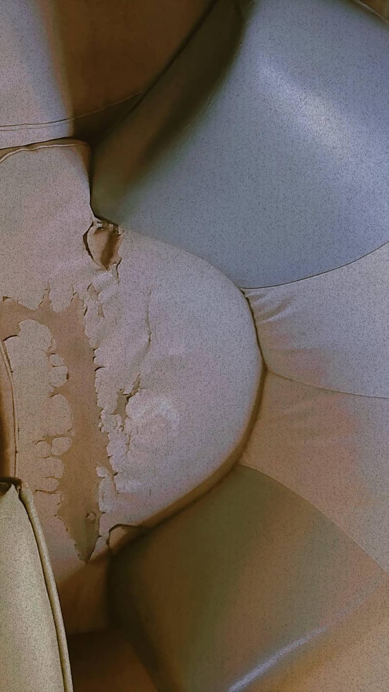 7 Seater Sofa set for sale

                                                            alt=