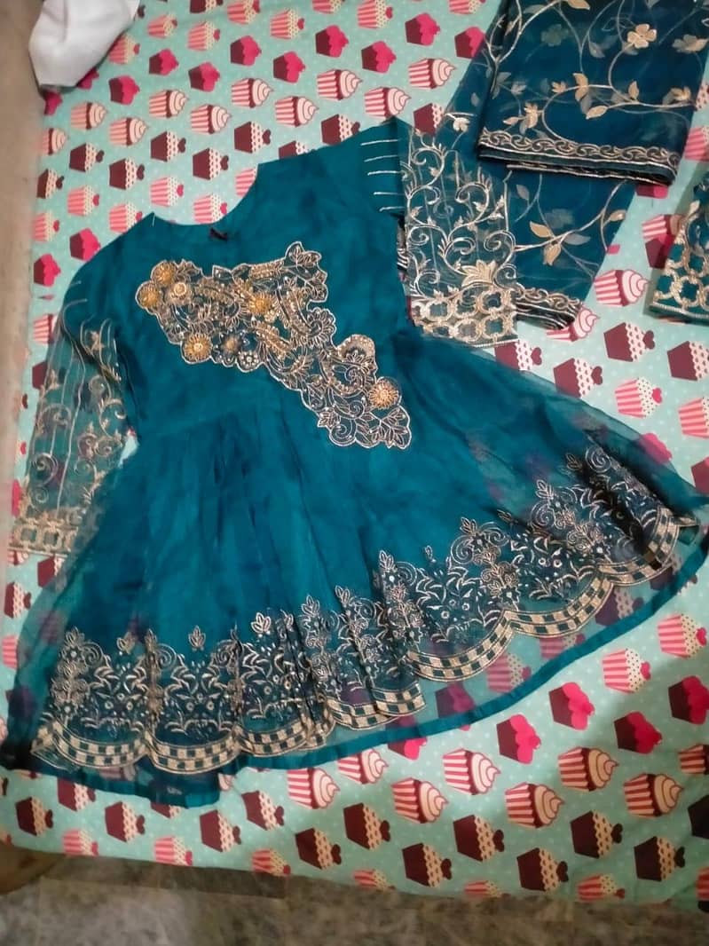 Oraganza Dress

                                                            alt=