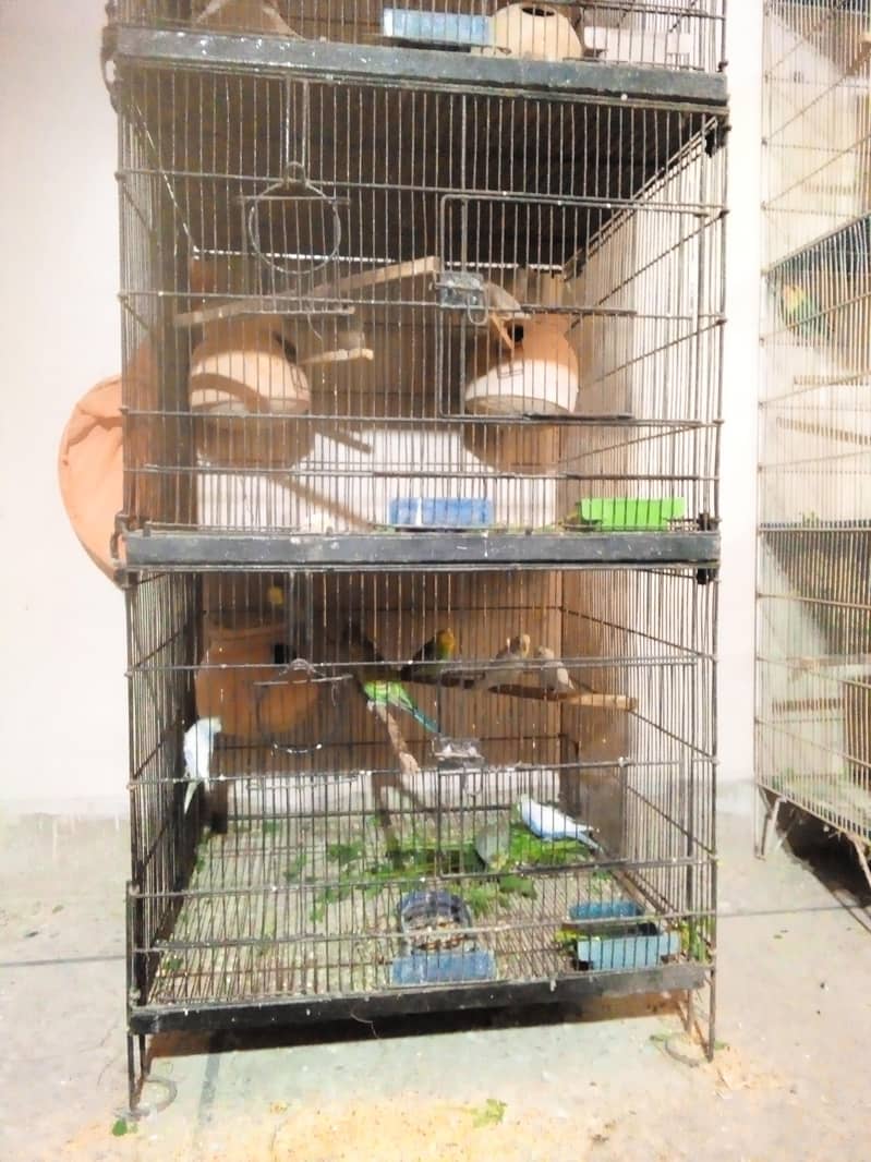 4 Portions Folding Cage Front Box Option

                                                            alt=