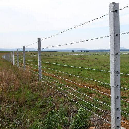 Chain Link Fence Razor Wire Barbed Wire Security Wire Welded Mesh Jali

                                                            alt=