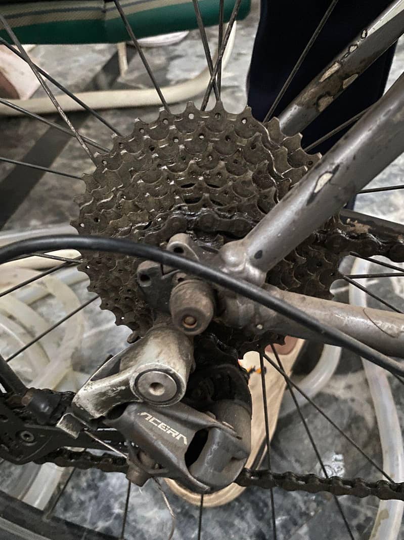 Giant Bicycle in Lahore | Giant in Cycle | All Genuine

                                                            alt=