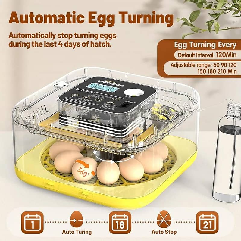 NEW YEAR OFFER PREMIUM QUALITY 30/12 EGGS FULLY AUTOMATIC INCUBATOR

                                                            alt=