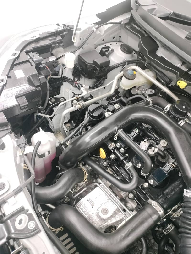 2020 model fresh clear today 4 grade auction sheet

                                                            alt=