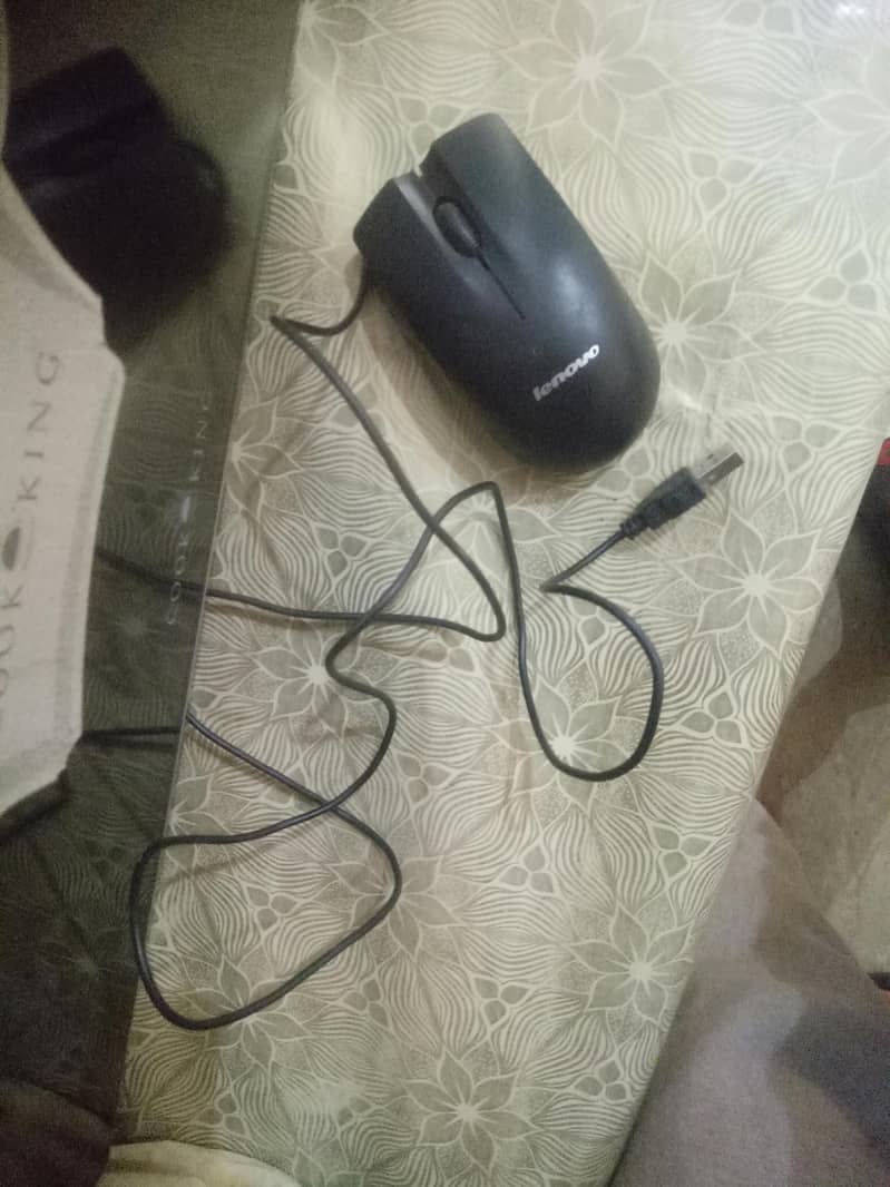 Mouse

                                                            alt=