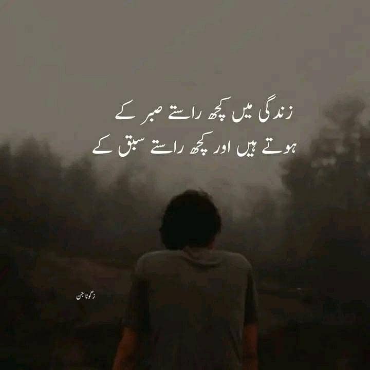 CD and DVD player Remote control and Audio video Cable

                                                            alt=