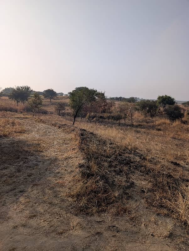 160 kanal agricultural land for sale balksar chakwal

                                                            alt=