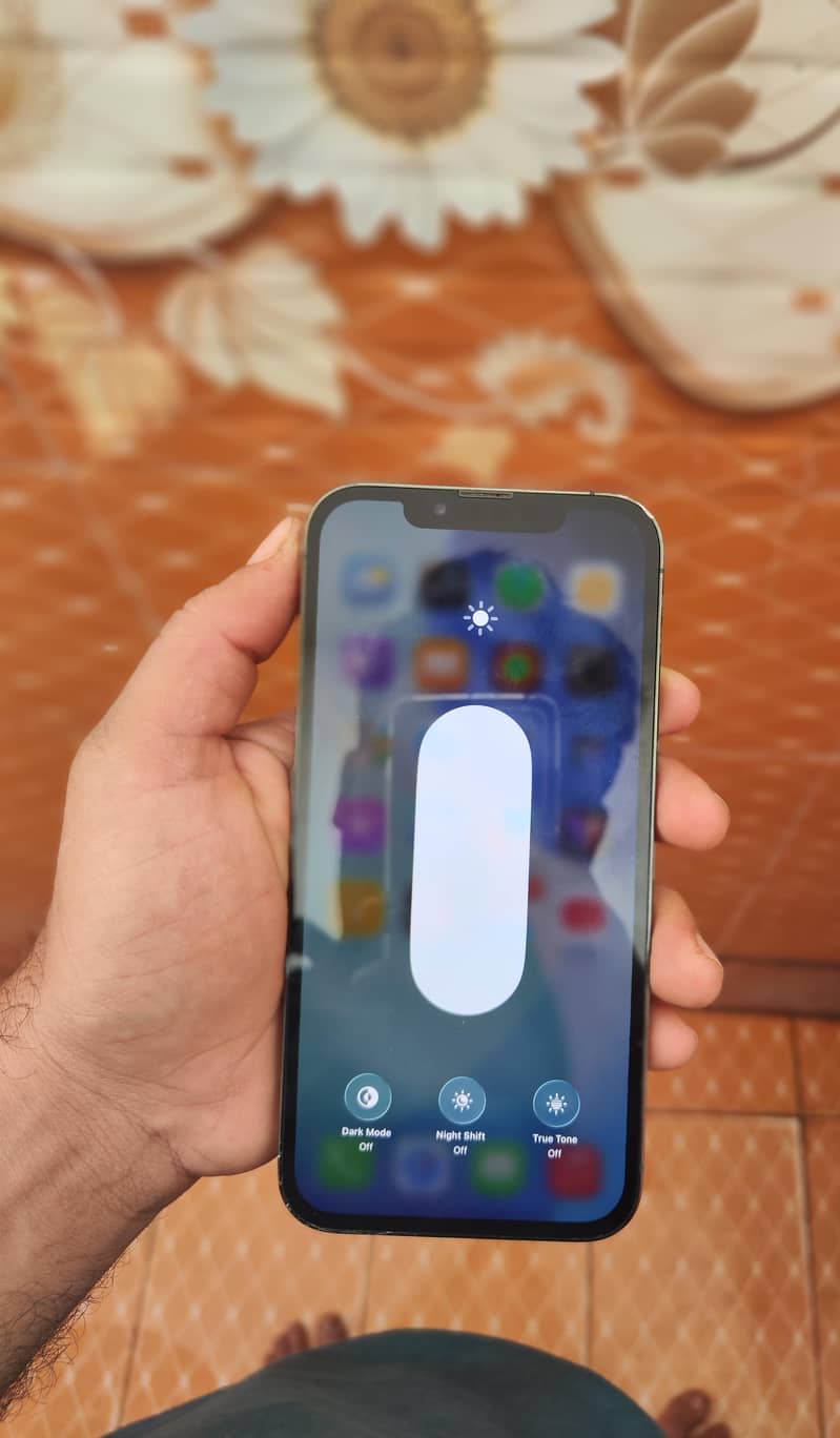 iPhone 13 pro max

                                                            alt=