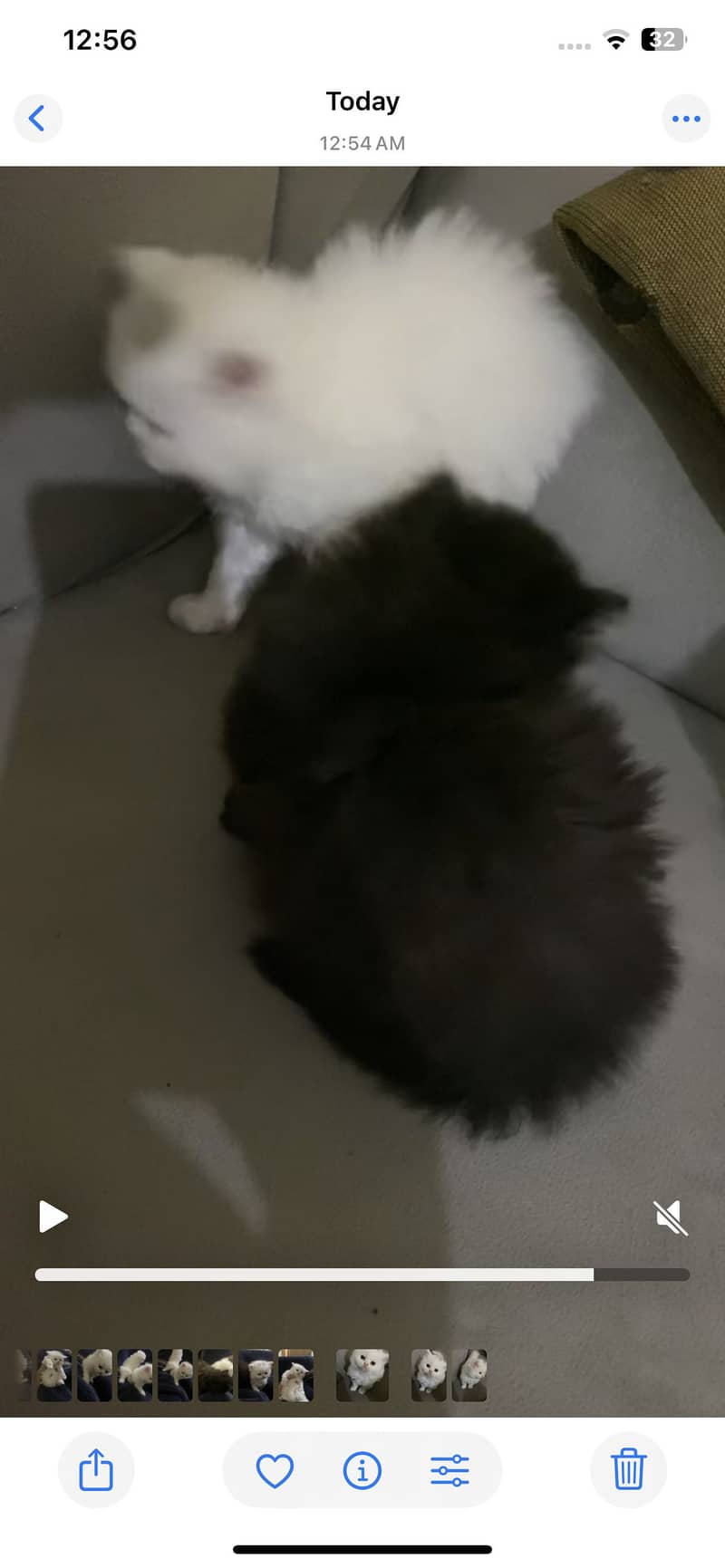 Triple code Kitten 03485540804

                                                            alt=