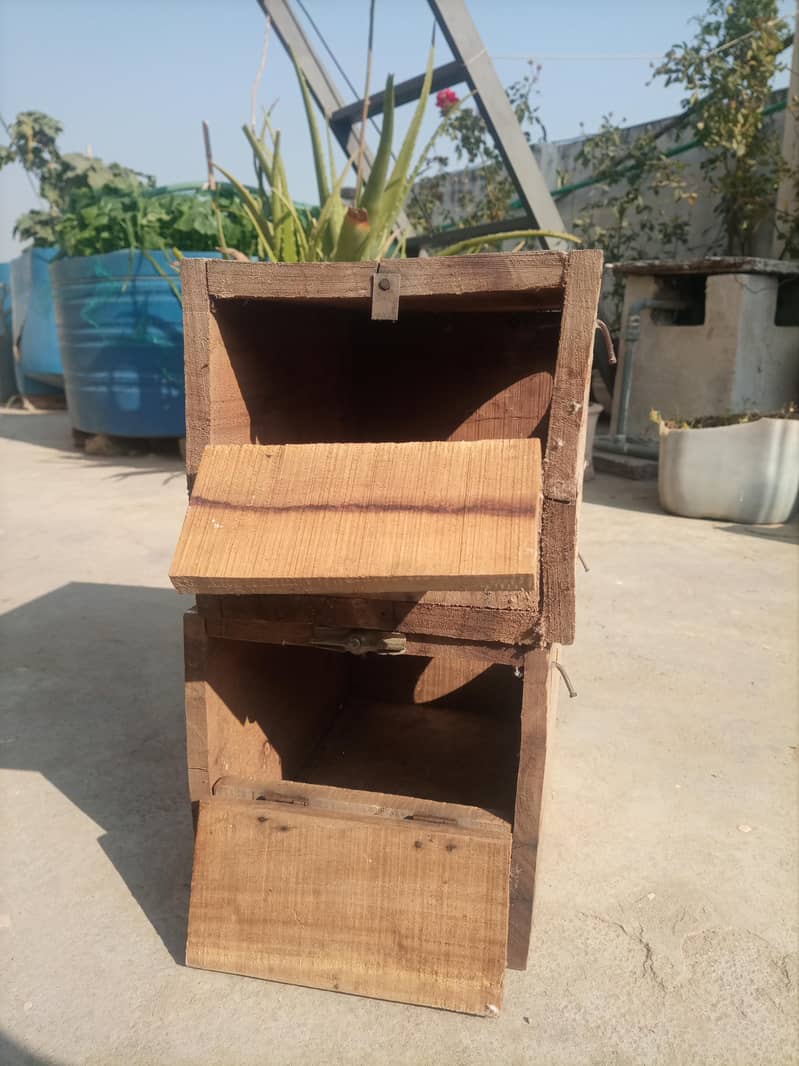 lovebird breedind box

                                                            alt=