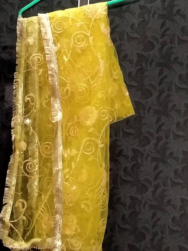 mehendi Upton lehnga  3 pc

                                                            alt=