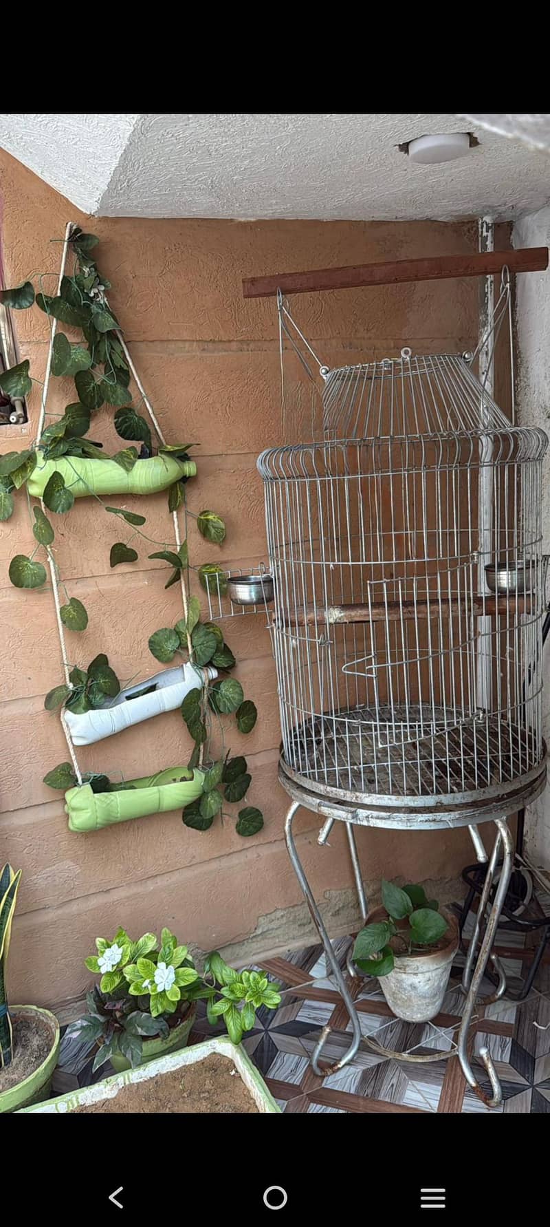 bird cage

                                                            alt=