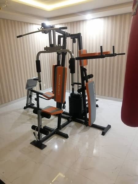 Home Use Treadmills - Ellipticals - Spin bikes - For sale -  IFitness

                                                            alt=