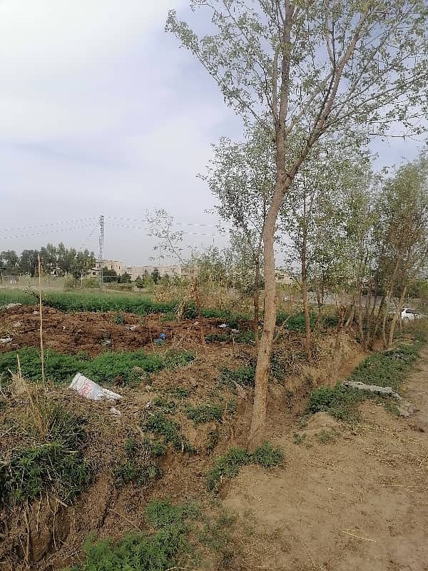 Cornor Plot in Taxila Wahcantt Near HITEC University

                                                            alt=