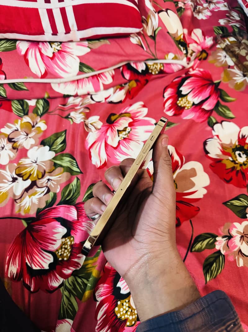 Iphone 12 pro max 128gb non pta

                                                            alt=