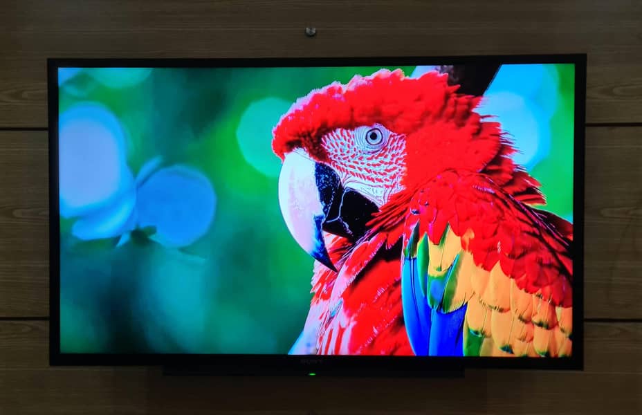 Sony Bravia Smart LED

                                                            alt=