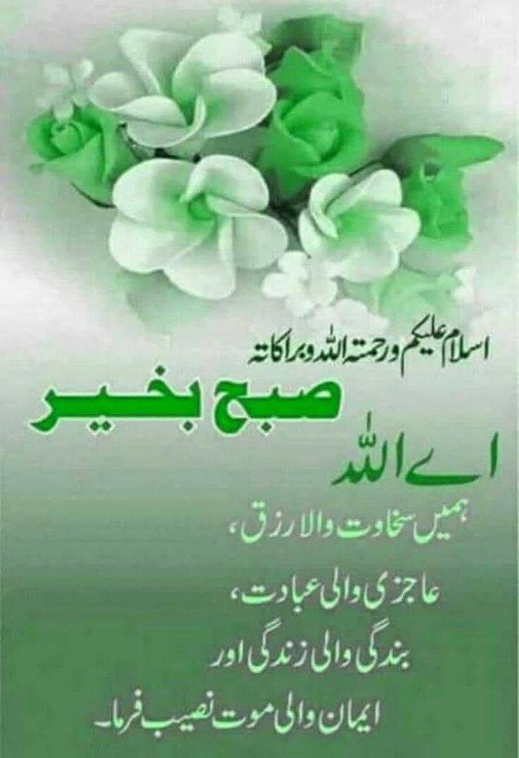 8 GB ram whole rate

                                                            alt=