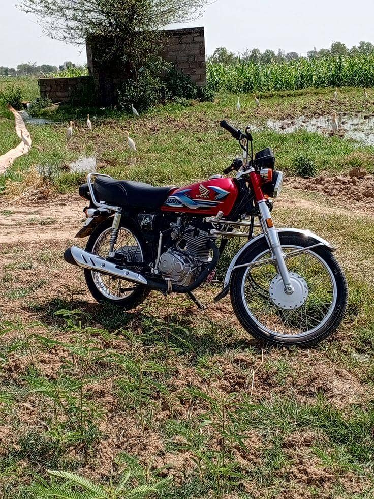 emergency urgent for sale Honda 125 2025

                                                            alt=